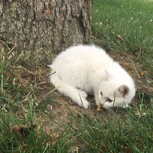 Meet your Posher, Lillian